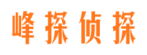 宜秀市婚外情调查